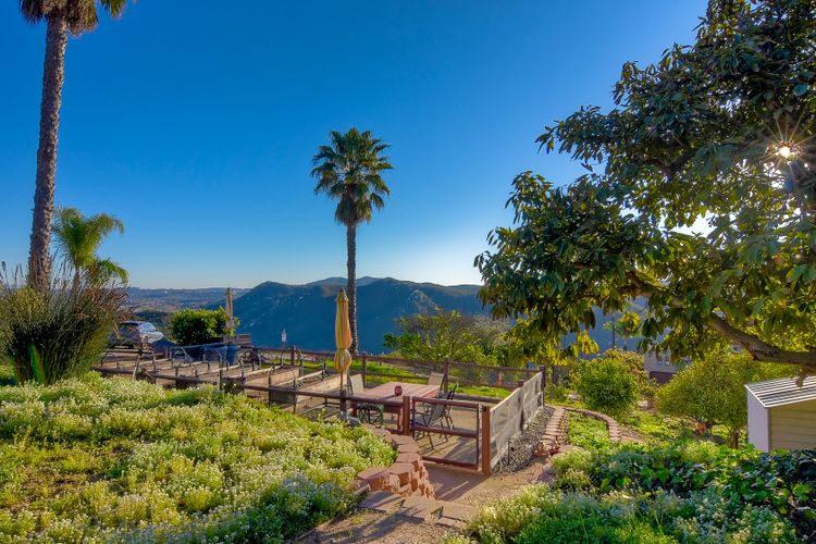 Raised beds for planting