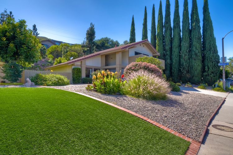 Photo #3