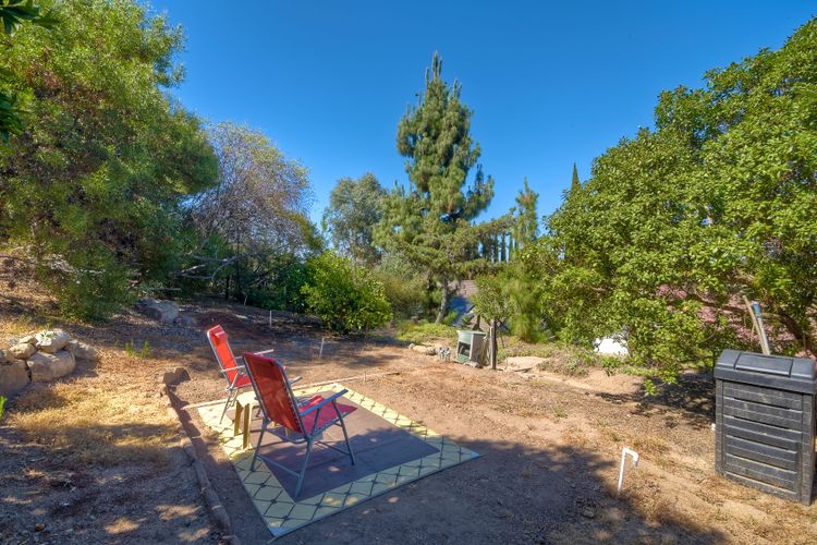 Photo #36