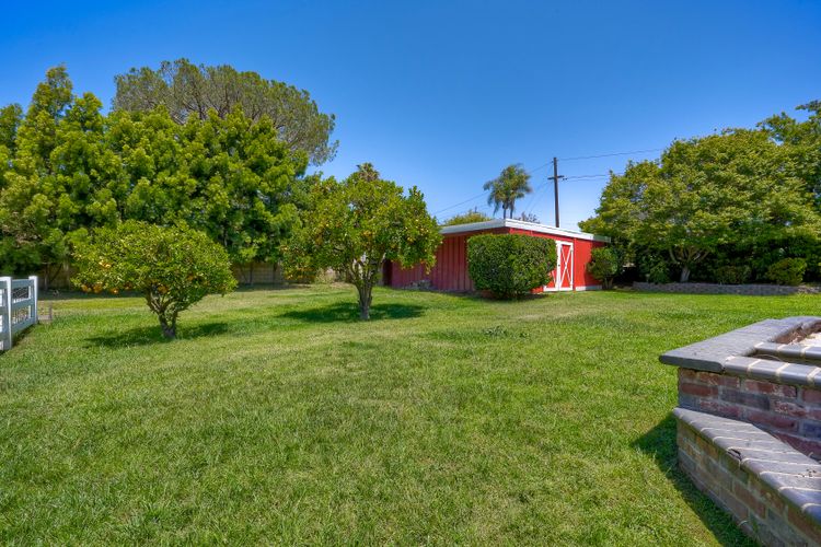 Photo #25