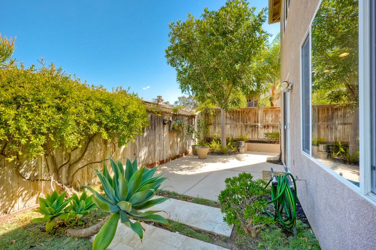 Photo #32