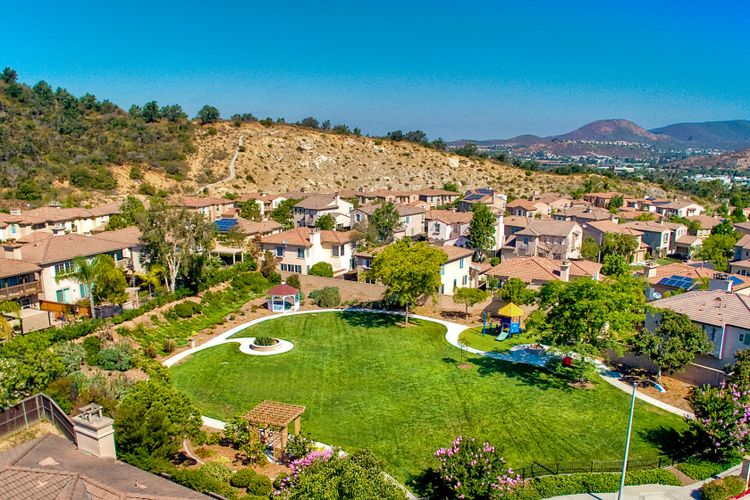Photo #47