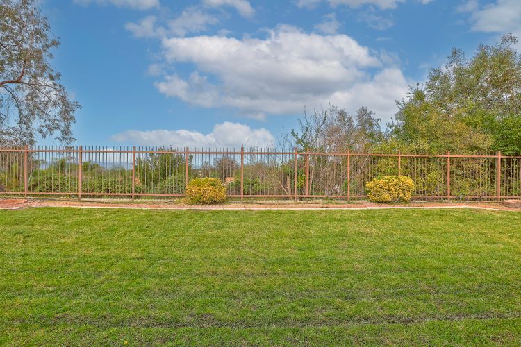 Photo #31 - Digitally Altered