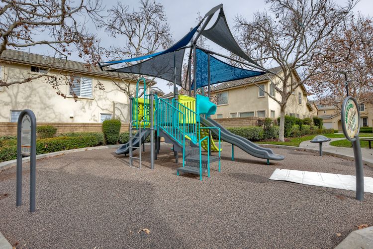 Photo #36 - Digitally Altered