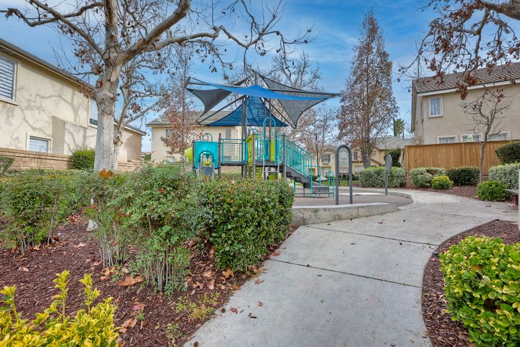 Photo #35 - Digitally Altered