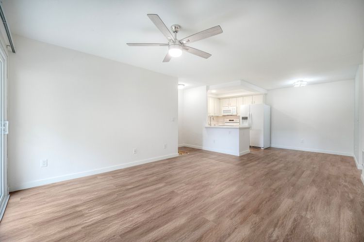 Photo #8 - Digitally Altered