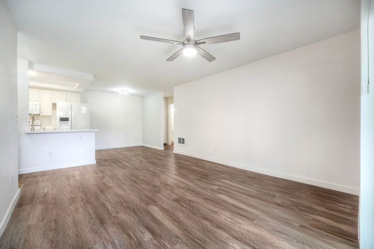 Photo #5 - Digitally Altered