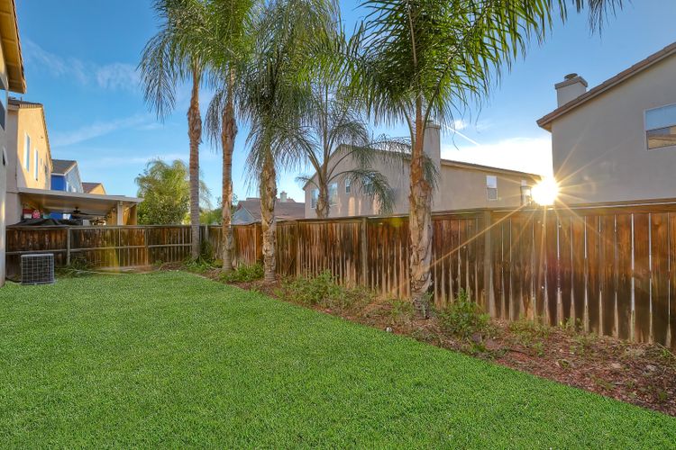 Photo #35 - Digitally Altered