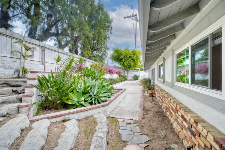 Photo #37 - Digitally Altered