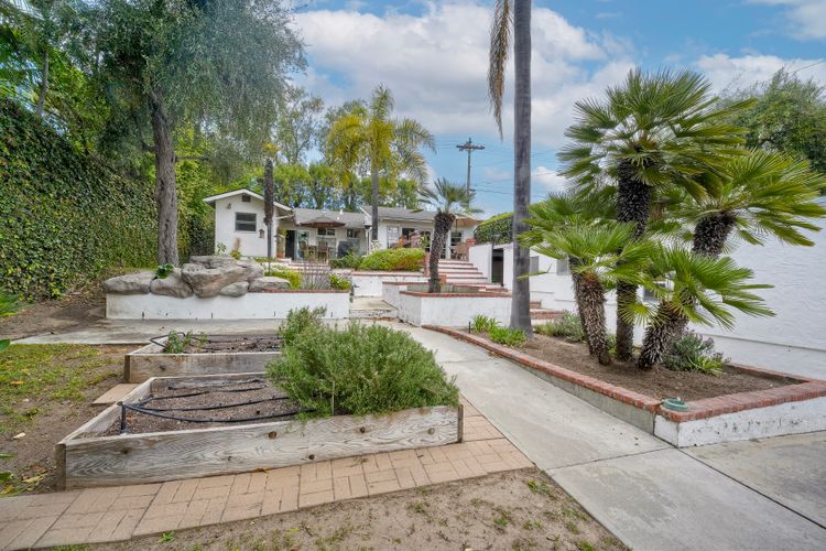 Photo #1 - Digitally Altered