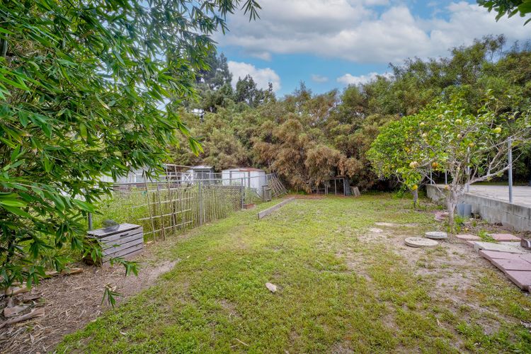 Photo #43 - Digitally Altered