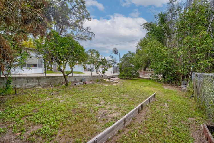 Photo #42 - Digitally Altered