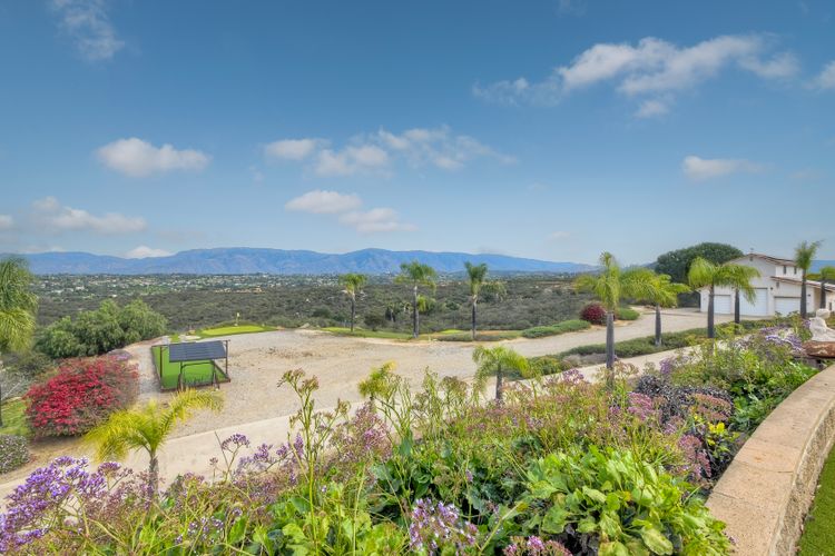 Photo #37 - Digitally Altered