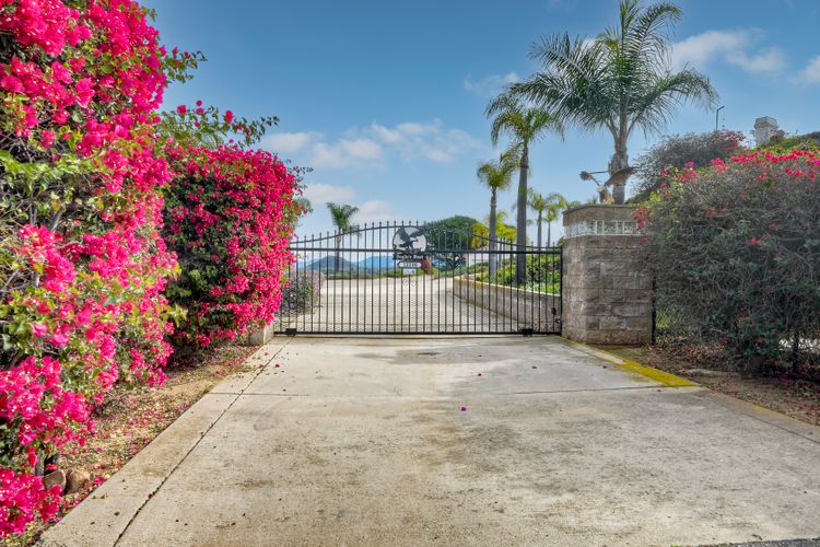 Photo #4 - Digitally Altered