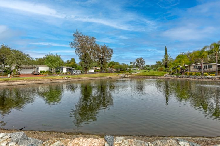 Photo #37 - Digitally Altered