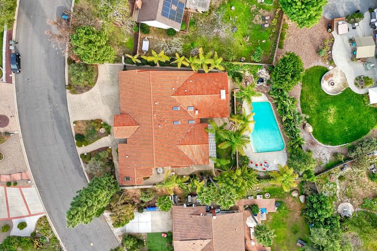 Photo #57 - Digitally Altered