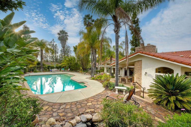 Photo #37 - Digitally Altered