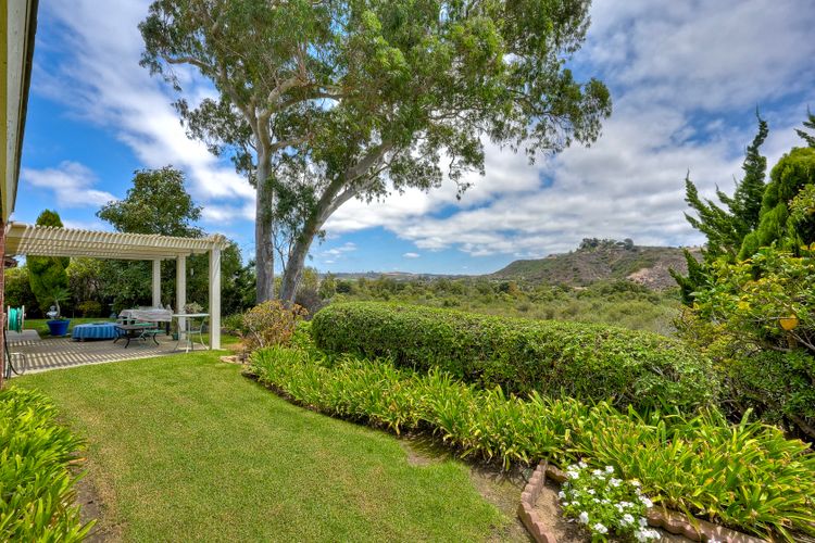 Photo #49