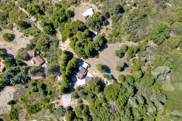 Photo #65