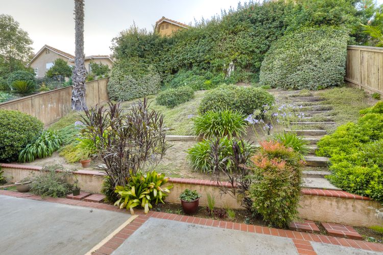 Photo #30
