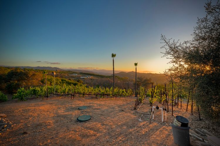 Photo #55